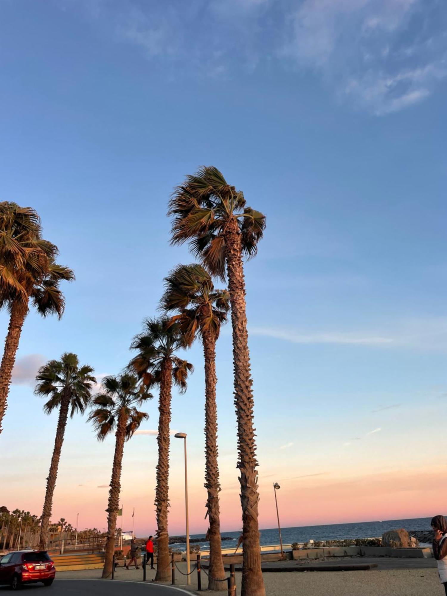 Bistrot Del Mare Daire Santo Stefano al Mare Dış mekan fotoğraf