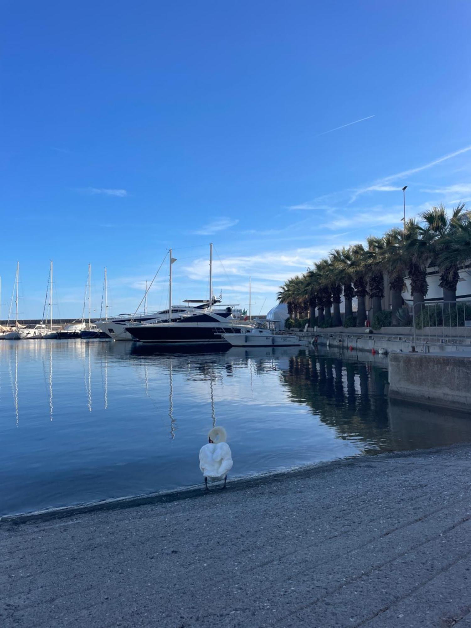 Bistrot Del Mare Daire Santo Stefano al Mare Dış mekan fotoğraf
