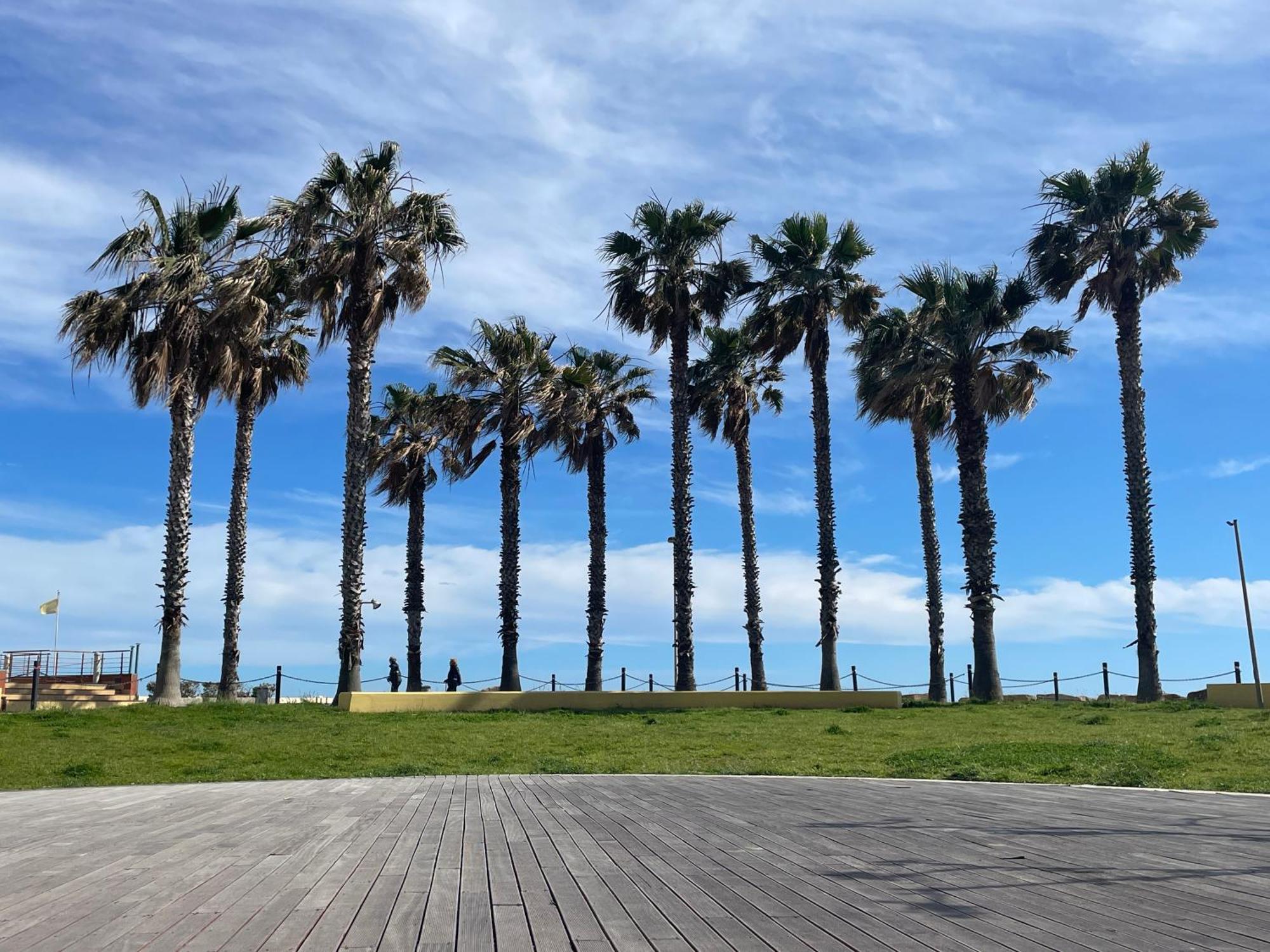 Bistrot Del Mare Daire Santo Stefano al Mare Dış mekan fotoğraf
